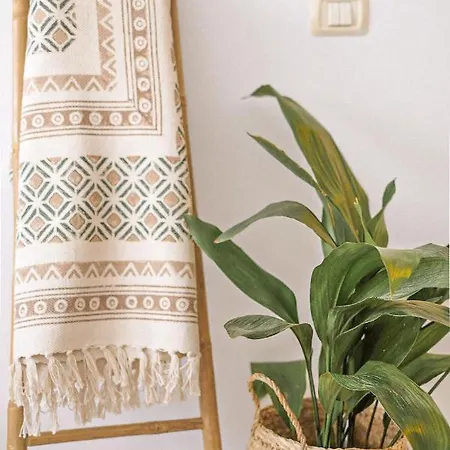 La Petite-home Near Airport-wifi-garage-elevator-homely Apartment Sardina